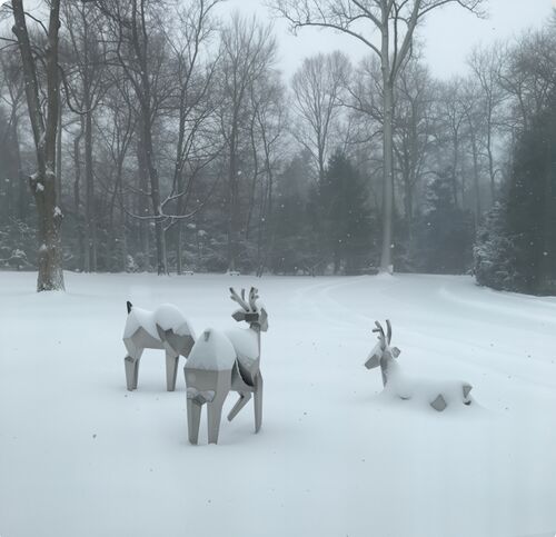 Τελευταία εταιρικά blogs για Το Κρυσταλλικό Κοπάδι: Όπου η Φύση Συναντά τη Γεωμετρία