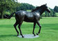 Large Bronze Horse Sculpture , Outdoor Bronze Statues Horse Antique Design
